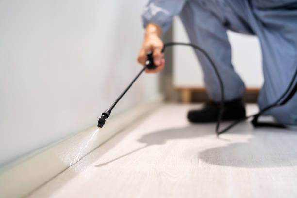 Licensed Cockroach Control service in Mitchell, SD - Nex Pest Control