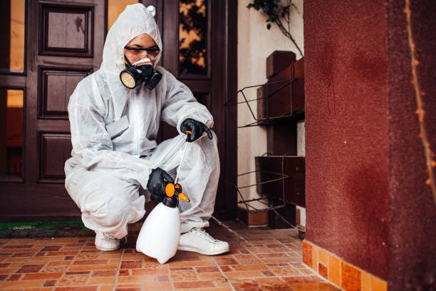Reliable Cockroach Control contractor in Mitchell, SD by Nex Pest Control